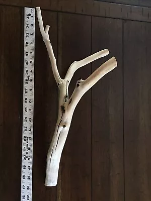 19” Manzanita Branch For  Aquarium  Reptile Terrarium Bird Perch Driftwood • $30