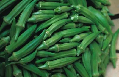  Bangladeshi  Vegetable Okra Seeds • £1.99