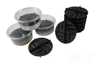 $7.50 • Buy Egg Incubation Tray Bearded Dragon Crested Gecko Reptile Lizard Snake Ball Py...