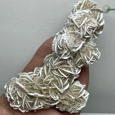 $41.30 • Buy 224g Desert Rose Selenite Stone Natural Quartz Crystal Healing Mineral Specimen