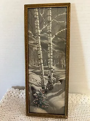 Vtg. Norcross Of NY Framed Art Print Birch Trees And Holly 9.25x3.5” • $27.50