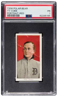 1909-11 T206 Polar Bear Ty Cobb Red Portrait PSA 1 • $2750