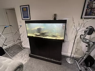 Marine Aquarium Set Up Juwel 375lite 4x2x2ft • £380