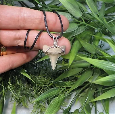 Nice Mako Sharks Tooth Necklace/jewelry/megalodon Fossil Sharks Teeth • $23