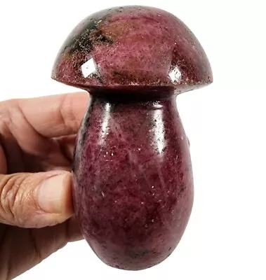 Rhodonite Crystal Polished Mushroom Stone 276 Grams. • $19.99