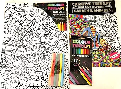 Adult Colour Therapy Velvet Art Felt Pens 11 X 15  & Colouring Book & Pencils • £9.75