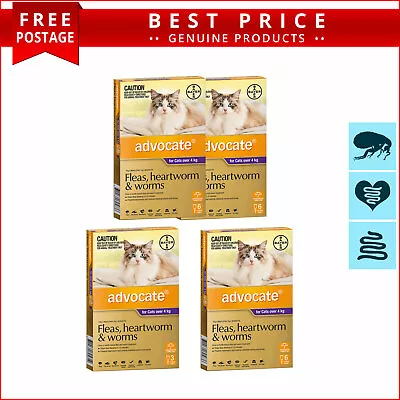 ADVOCATE Monthly Flea Worm Control 3 6 12 Doses For Cats Over 4 Kg PURPLE • $48.93