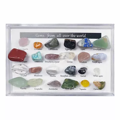 24X Rock Mineral Collection W/Display Case Science Speciman Geography For Kids • $8.95