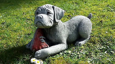 Boxer Puppy Dog With Shoe Hand Cast Stone Outdoor Garden Ornament Sculpture Gift • £59.90