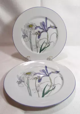 Block Spal Portugal Watercolors HILLSIDE Mary Lou Goertzen 2 Salad Plates GC • $15