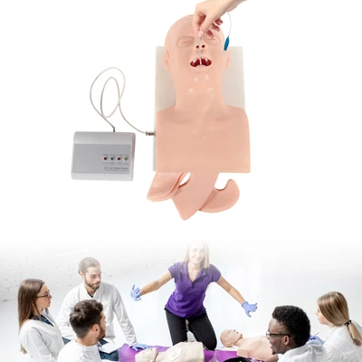 $200.45 • Buy Intubation Manikin Study Teaching Simulator Model Airway Management Trainer Tool