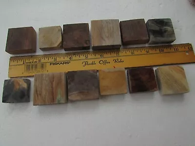 Stabilized Burlwood Ring Blanks / Set Of 6 Mixed Colors /  Limited 2 Sets Only • $23