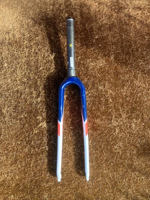 £25 • Buy Giant Tcx Carbon Disc Forks
