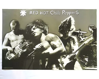 Red Hot Chili Peppers Poster 2003 By The Way Live On Concert Shots Alt Rock • $50