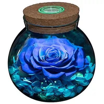 Preserved Real Roses With Colorful Mood Light Wishing  Assorted Colors  • $46.25