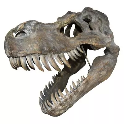 T-Rex Dinosaur Skull Large Resin Replica Freestanding 51.5cm Wall Mountable • £260