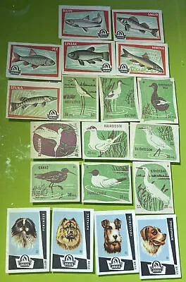 Vintage Lot Of 19 Czech Dogs Fish And Birds Safety Matches Label Unused • $10