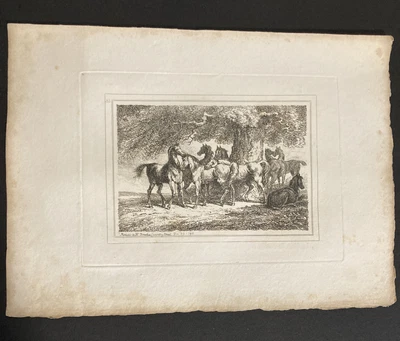 £9.99 • Buy Etching By Samuel Howitt  HORSES