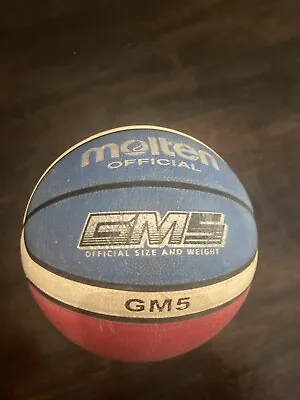 Molten Official GM5 Basketball  • $9