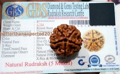 Energized 5 Mukhi Rudraksha Five Face Rudraksh Nepal Bead 22-24MM Lab Certified  • $11.90