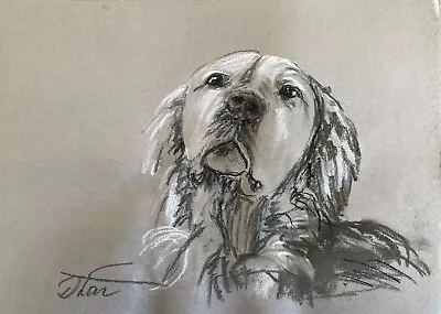 Impressionism Pastel Painting Drawing Dorothy Laz Dog • £28.98