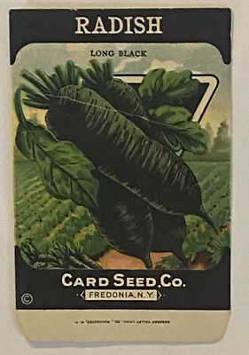 1920’s - 30’s Vintage Black Radish Seed Packet - Litho Cd Seed Co - Fredonia  NY • $5