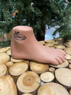 NEW Chaco Display Foot Model Mold Mannequin Feet Forms Kids • $12