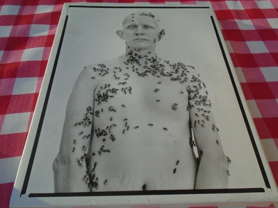 $28 • Buy Richard Avedon Portraits