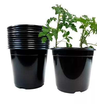 2 Gallon Plastic BPA Free Nursery Pots 9.5in 24 Pack • $40