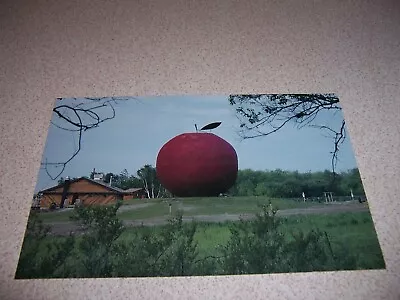 1970s THE BIG APPLE RESTAURANT MINI GOLF ANIMAL LAND COLBORNE ONTARIO POSTCARD • $4.99