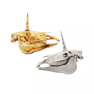 Unicorn Skull 1:12 Scale Fantasy Horse Artisan Diorama Dollhouse Miniature Model • $14