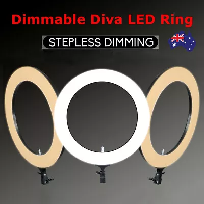 19  Dimmable Diva LED Ring 5500K Light Diffuser With Stand Make Up Studio Video • $139.99