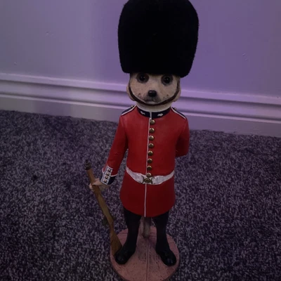 £40 • Buy Magnificent Meerkats