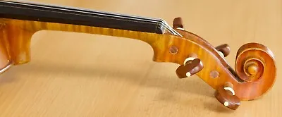 Old Vintage Violin 4/4 Geige Viola Cello Fiddle Label CAVANI VINCENZO Nr. 1907 • $455.03