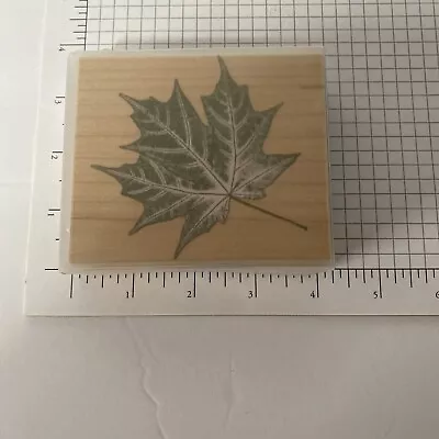 Hero Arts N2081 Liquid Amber Maple Tree Leaf  Nature Rubber Stamp NIP • $5.95