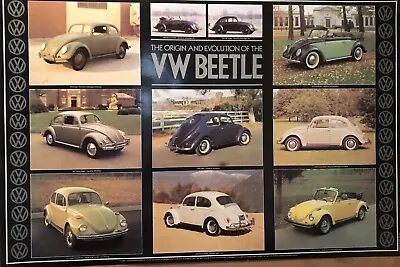 VW-Beetle-1938-1979 Origin & Evolution Of The VW Beetle Rare Version Car Poster! • $39.95