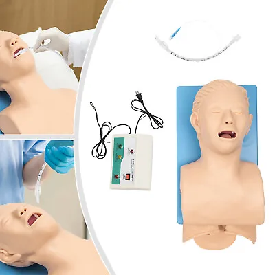 $239 • Buy Teaching Model Airway Management Trainer Intubation Manikin Training Pro