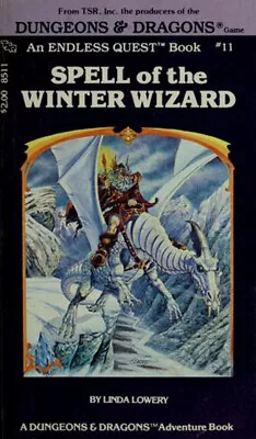 Spell Of The Winter Wizard Endless Quest Book 11 / A Dungeons & • $10.73