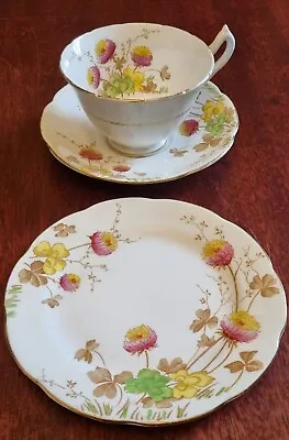 Vintage Collingwood Bone China Trio Teacup Saucer & Side Plate • £14.99