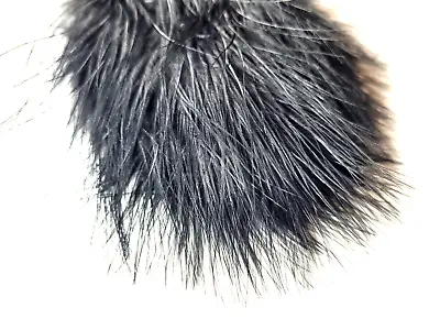 MARABOU BLOOD QUILLS - 12 Pc. - Fly Tying Feathers - BLACK - SELECT 3-4 Inch • $2.99