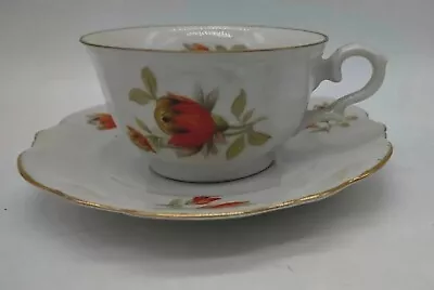 Vintage Demitasse Cup Set Bareuther Bavaria Porcelain Germany Orange Hand Paint • $19