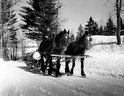 1939 Horse-Drawn Sled Hauling Logs Vermont Old Photo 8.5  X 11  Reprint • $14.84