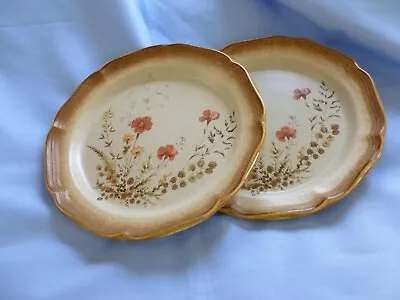  2 Mikasa E8016 Whole Wheat JARDINIERE Dinner Plates EXC_Set Of TWO (pnt-bt-rgt) • $12.99