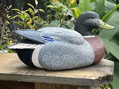 Mallard Duck Drake 1986 Wendell B. Sheerman Hand-Carved Wood Hand-Painted Decoy • $40