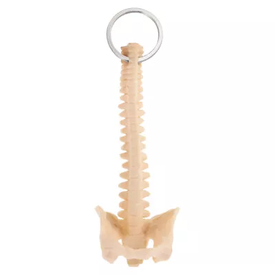 Spine Model Biology Keyring Spinal Backbone Keychain Kids Science Toys • $11.82