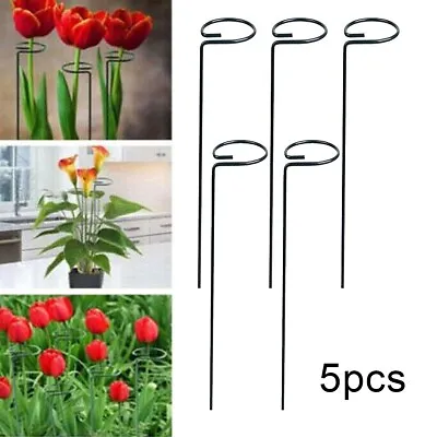 5pcs Metal Plant Bow Stand Stake Strong Round Garden For Flower Support • £5.69