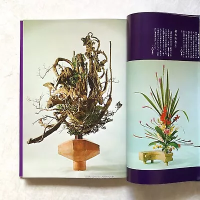 Flower Arranging IKEBANA Classical Methods RIKKA Art IKENOBO FUJIWARA Yuchiku • $149.90