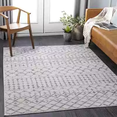 Area Rugs 5x7 Modern Living Room 8x10 Large Bedroom Carpet Vinkepas White Rug • $67