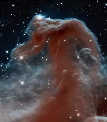 Horsehead Nebula Constellation Glossy Poster Picture Photo Banner Print 6984 • $14.99