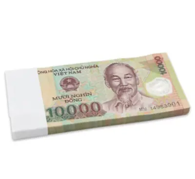 100PCS Vietnam 10000 DOLLARS BANKNOTE CURRENCY VND 10000 Vietnamese Dong UNC • $79.99